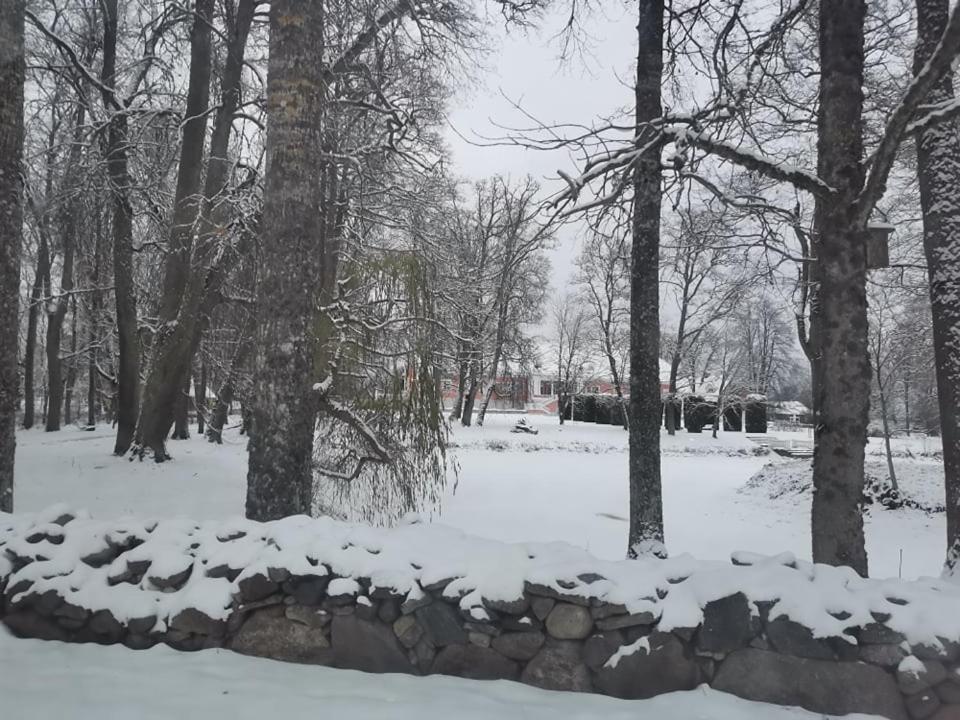 Traditional House With The Sauna And Free Parking * Sagadi